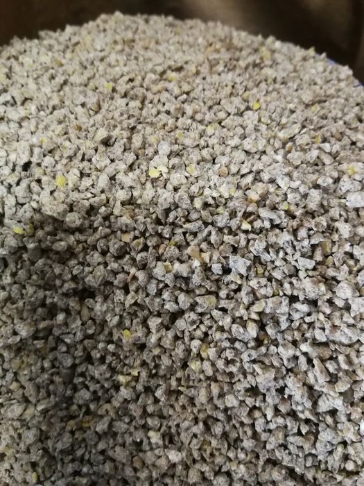 Słonecznik czarny, pasiak, łuskany, worki 20kg