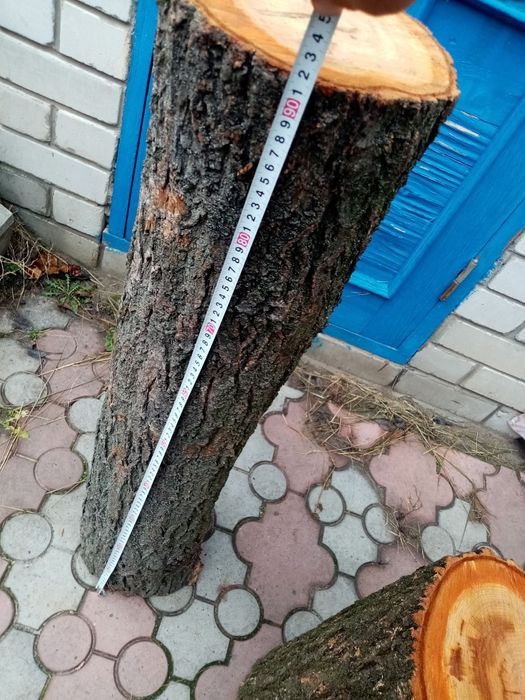 Продам деревянные колоды, кругляк с абрикосы