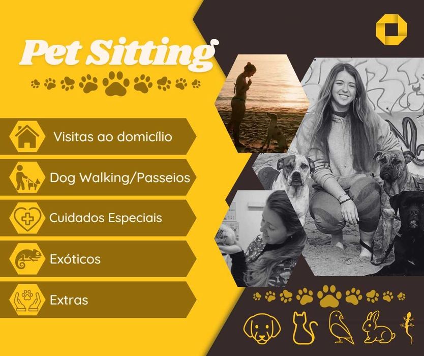 Petsitting - Santarém