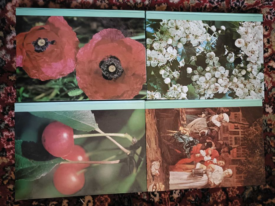 4 Livros As Plantas Nossas Amigas