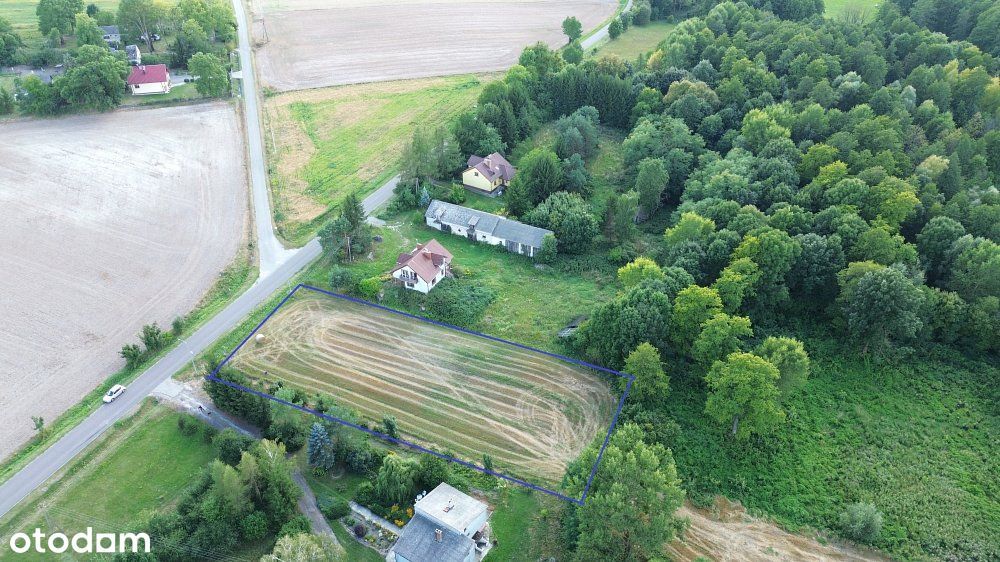 Działka budowlana/ 30 arów/ Nowosiółki Kolonia
