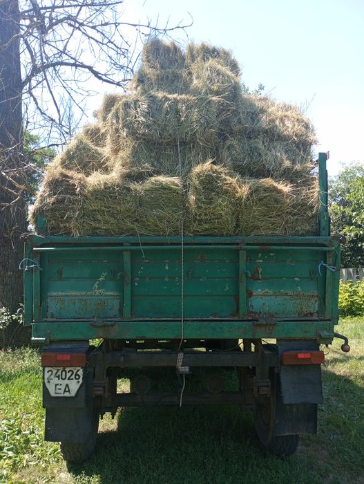 Продам луговое сено в квадратных тюках