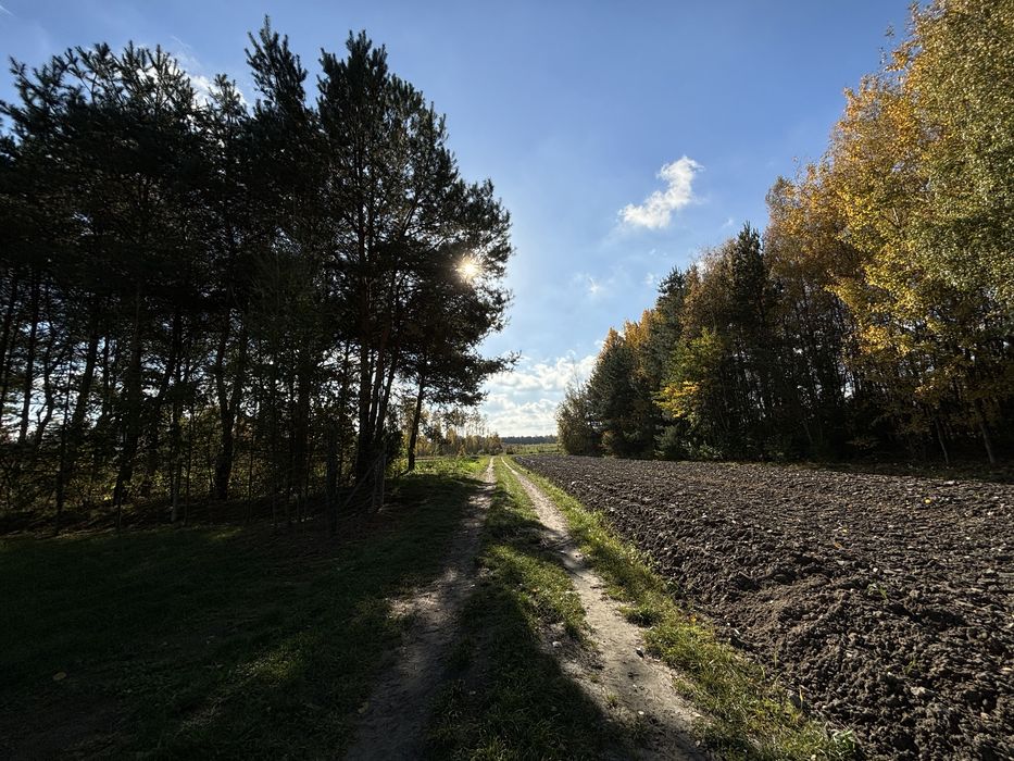 Działka budowlana i rolna 44 ary Z WARUNKAMI ZABUDOWY! Ponikwa, Garbatka-Letnisko - Widok 4