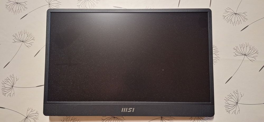 Monitor przenośny  MSI PRO MP161 E2U