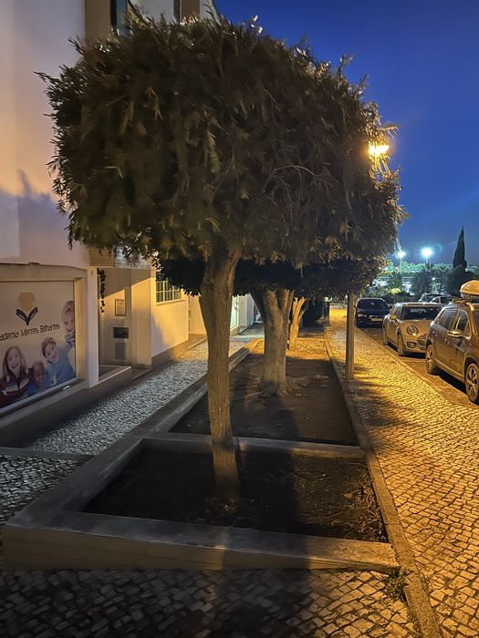 Jardineiro e manutencoes