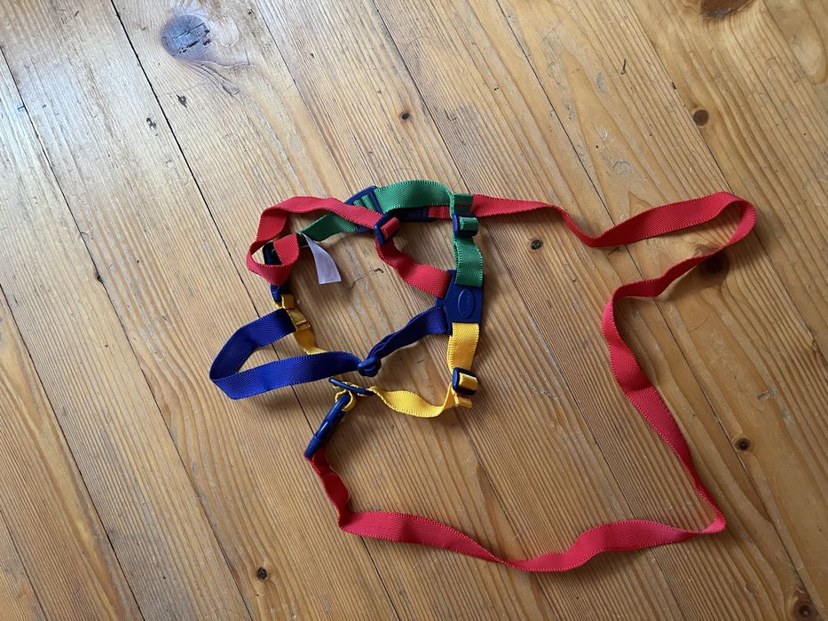 Дитячий віжок,повідок