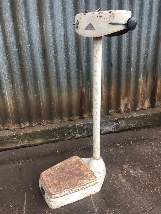 Waga 150 kg - LECĄ - 1951 rok