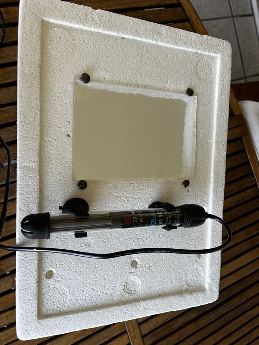 Incubadora para reptéis