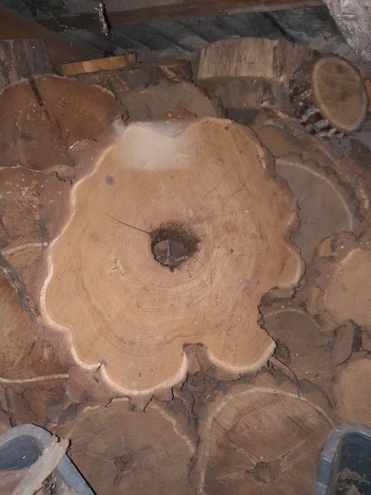 Plastry/ krążkiakacji