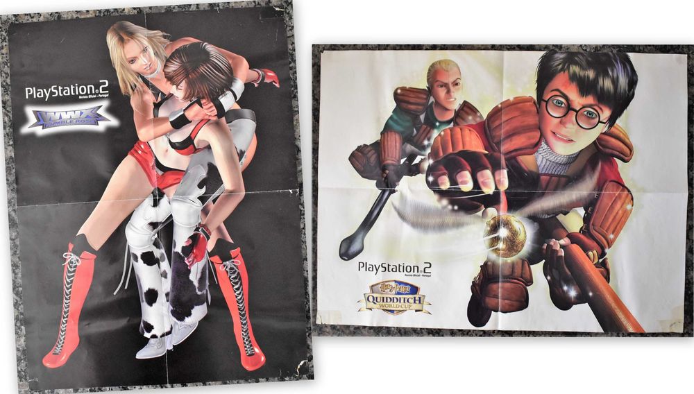 WWX: Rumble Rose / Harry Potter: Quidditch World Cup - Poster PS2