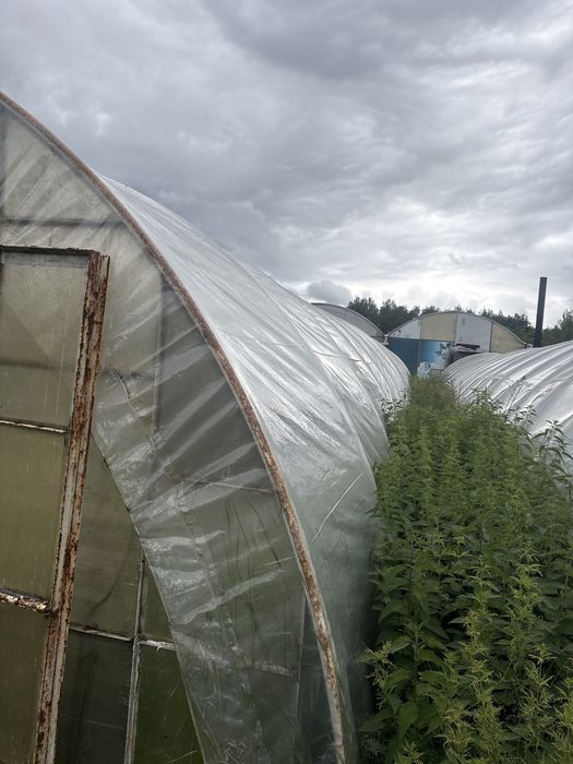 Tunel foliowy ogrodniczy