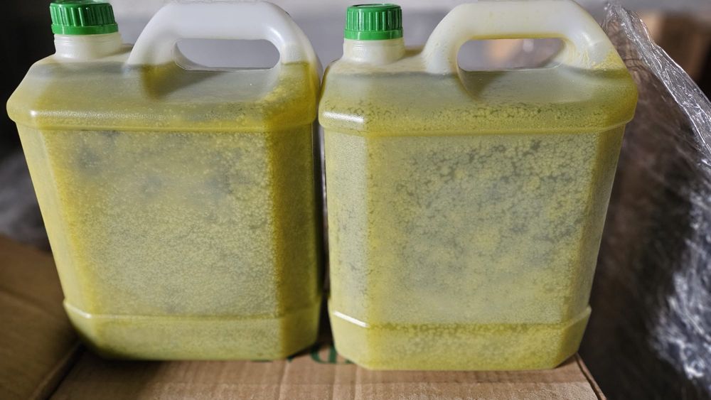 Azeite novo de excelente qualidade ( NAO CONTEM MISTURA )