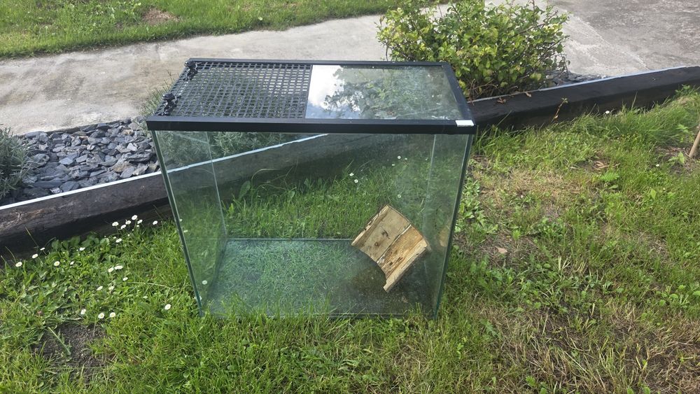 Terrarium szklane