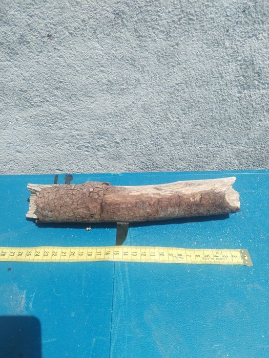 Troncos de deriva / para aquário