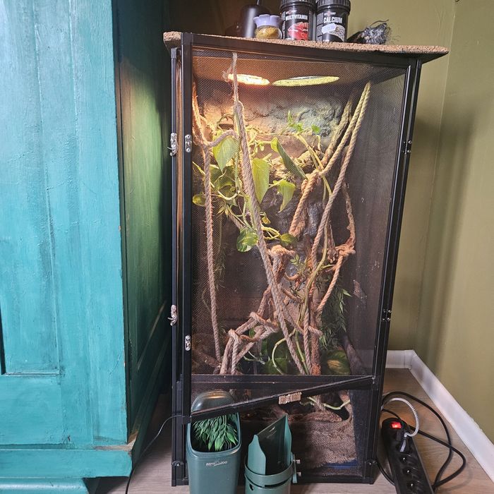 Terarium siadkowe w stanie dobrym