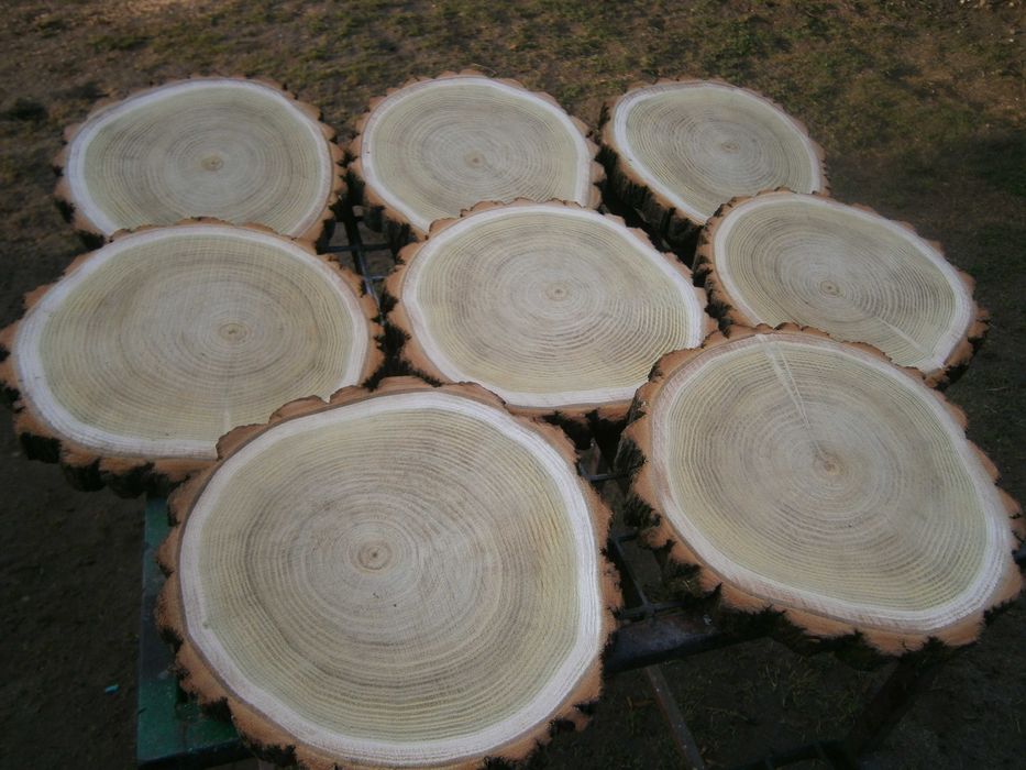 plaster drewna,podstawka pod talerz garnek