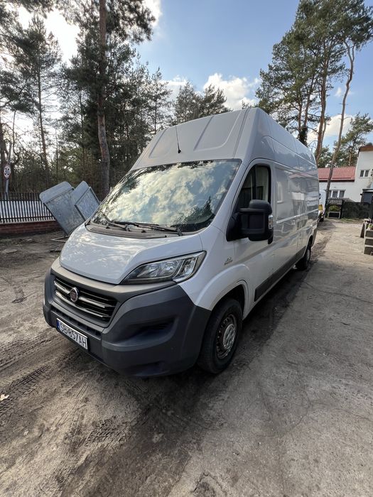 Wynajem busa Fiat Ducato L4H2 MAXI !! / Wypożyczalnia aut dostawczych