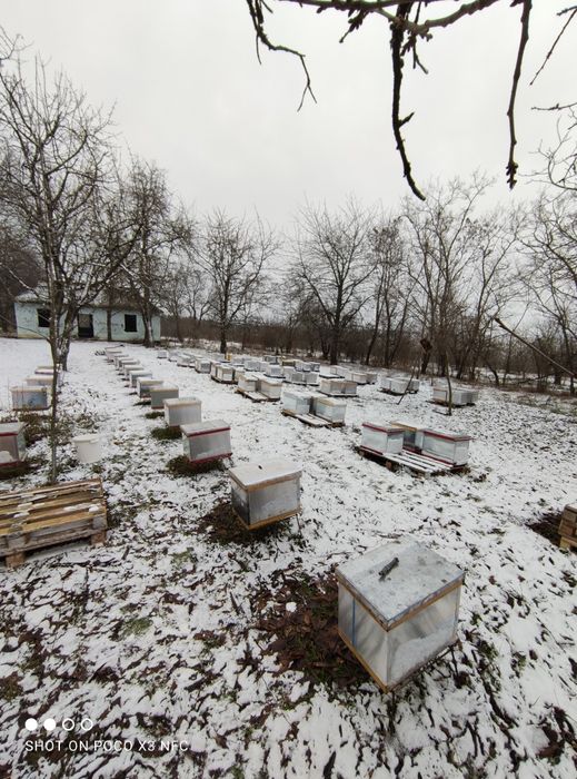 Алюминий, листовой, на вулик , улья , дадан,рута,рамки,Бляха,криша