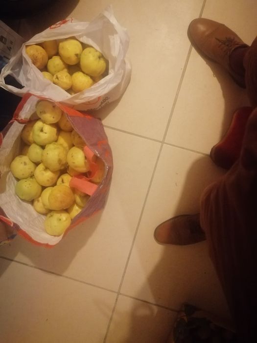 Marmelos Biológicos