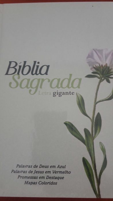 Biblias com Harpa e corinho