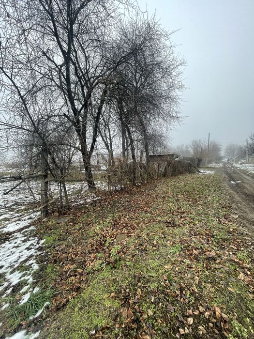 Земельна ділянка