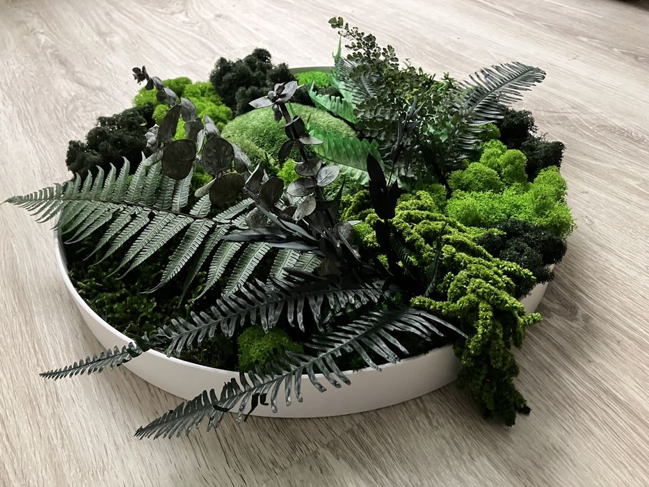 Obraz z mchu koło metal loft żywy mech chrobotek