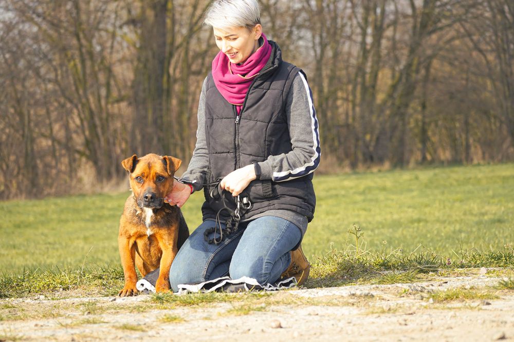 Mateo słodziak czeka na domek