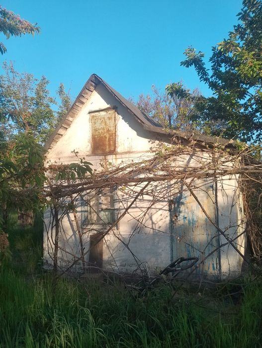 Віддам садову ділянку в користування