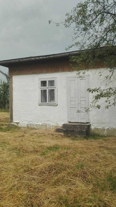 Будинок з  присадибною ділянкою