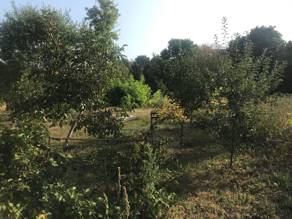 Продам приватизовану земельну ділянку