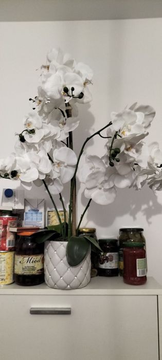 Sztuczny storczyk pięciopedowy w ozdobnej doniczce.hom&you