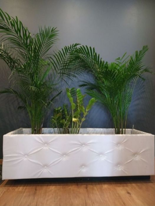 Duża donica tapicerowana. Ogród zimowy, salon