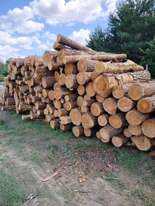 Drewno Opałowe i Kominkowe Dąb, Buk, Grab, Brzoza, Jesion, Sosna