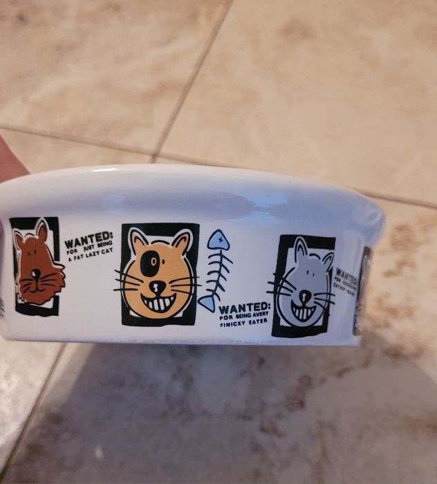 2 керамічні мисочки для котів для води та їжі.