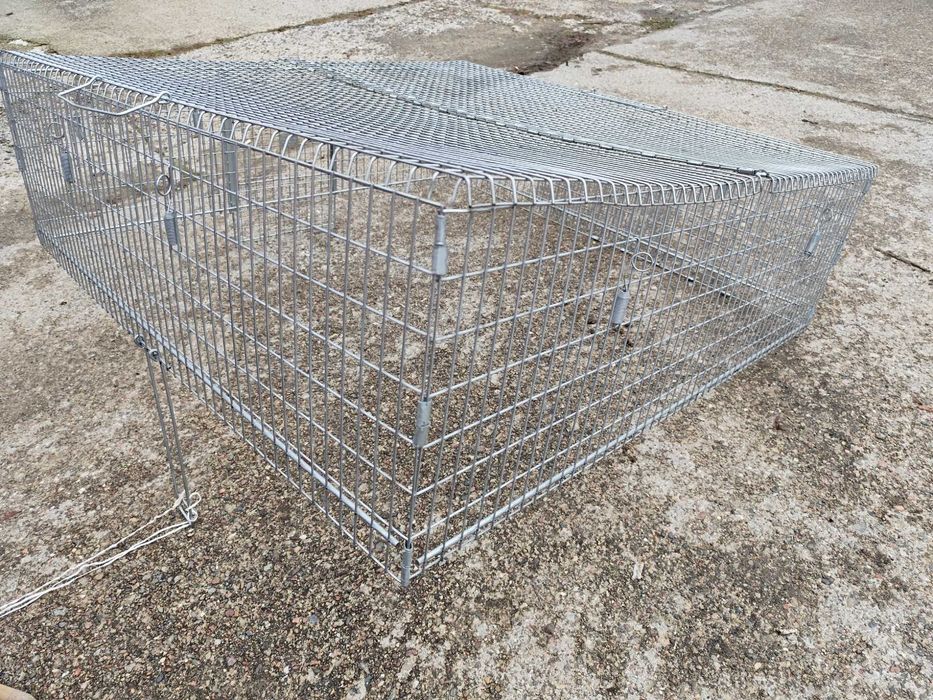 klatka pułapka dla kota