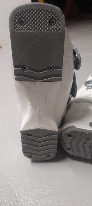 Buty narciarskie Dalbello Aspire 50
