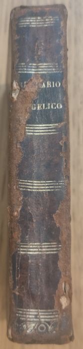 Livro Antigo "Relicário Angélico" – Edição de 1896 – Lisboa