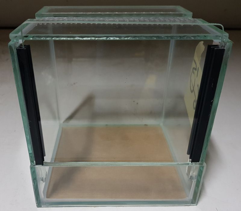 Terrarium dla pająka Gilotyna 20