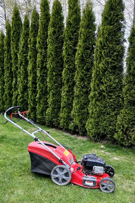 Wypożyczę: Kosiarka spalinowa WORLD 150cc | pełny bak w cenie | gotowa do koszenia