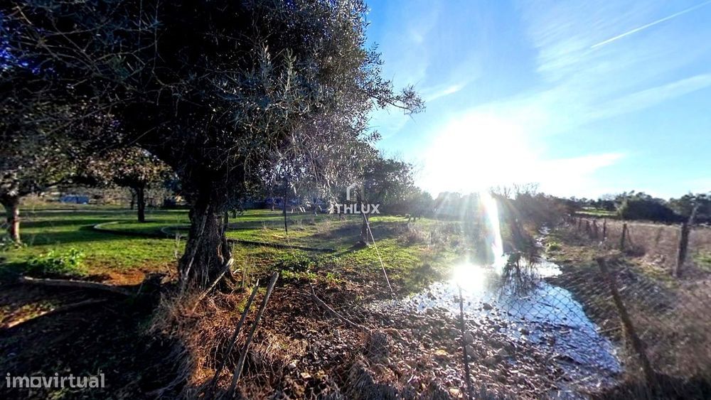 Quinta com 32.500 m2 em Elvas-Alentejo- Portugal — Assunção, Ajuda, Salvador E Santo Ildefonso, Portalegre