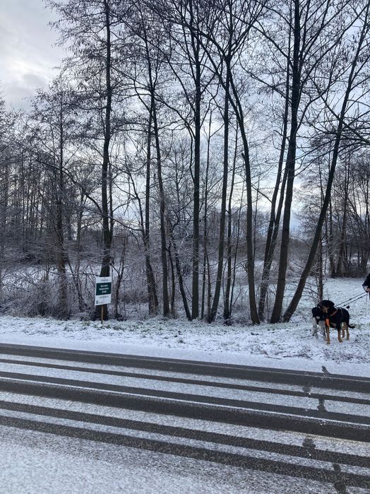 Działka budowlano-usługowa w Wilkowie Polskim