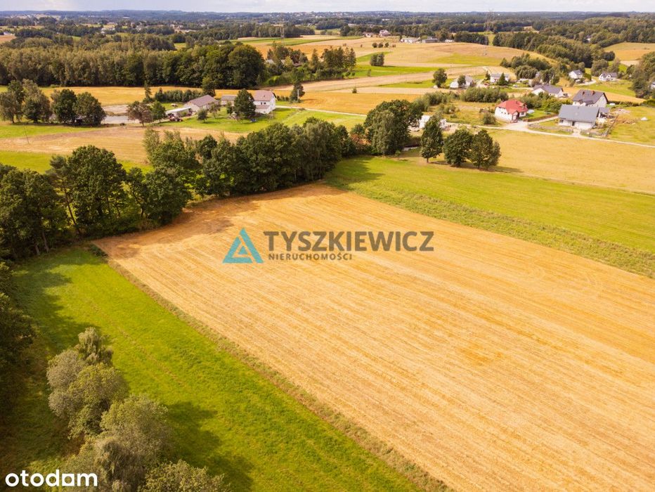 Wydane Warunki Zabudowy | Działka Czeczewo - Widok 5