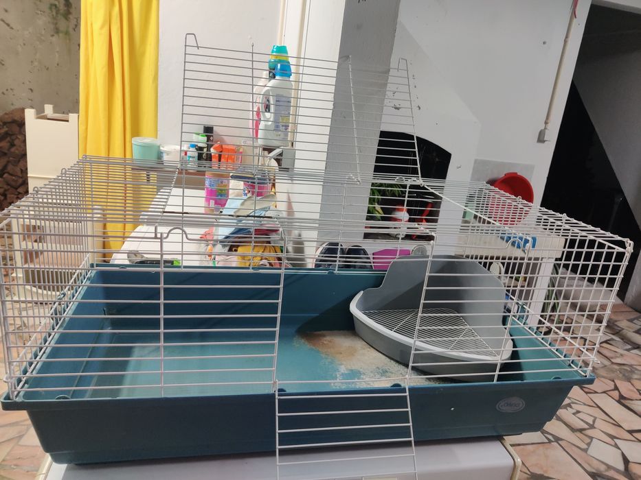 Gaiola grande roedores