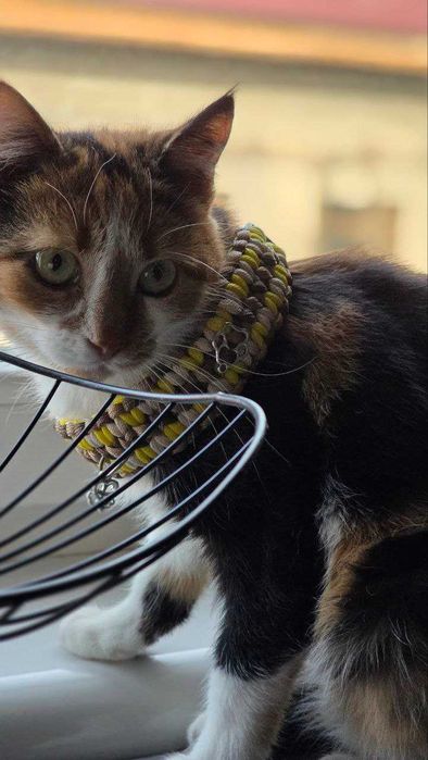 Плетена амуніція на замовлення!