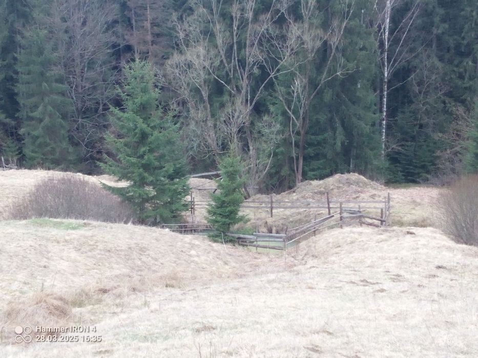 Земельна ділянка