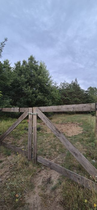 Działka z linią brzegową jeziora - WYNAJEM