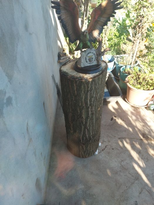 Estátua em  Marfinite da  ÁGUIA DO SLB para colecionadores boni