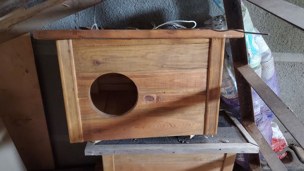 Буди для котів та собак