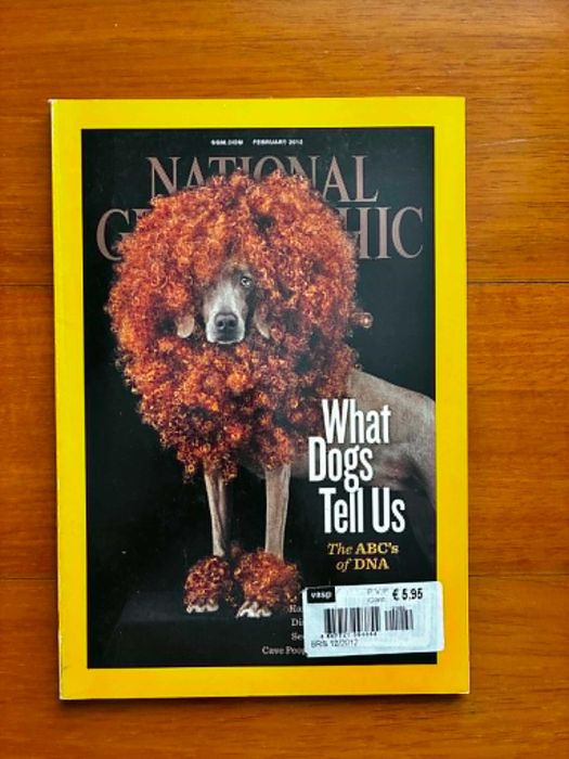 Revista National Geographic - What Dogs Tell Us
