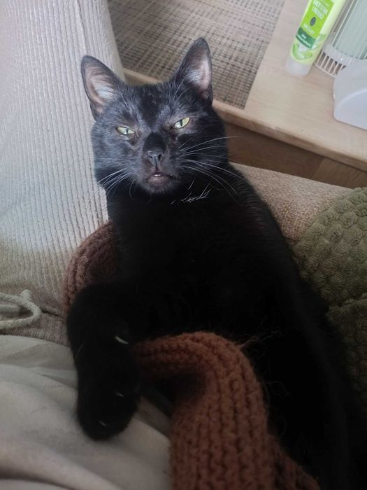 Sigma – chłopak na opak, który kocha całym sercem!